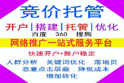 SEM网络推广案例：打造行业影响力品牌
